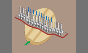 Adsız tasarım - 2026-02-12T173918.133